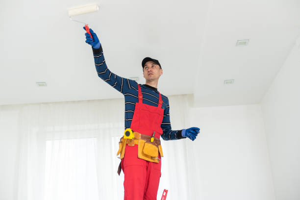 Best Drywall Sanding and Smoothing  in South Lockport, NY